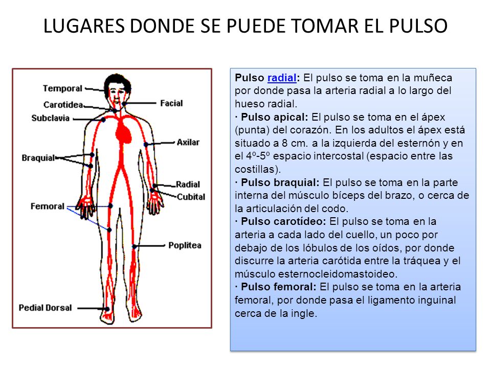 Como dejar tomar el peso después de que ha dejado a fumar